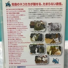 RAB放送　ZIP! あおねごDVD 1〜3巻の画像
