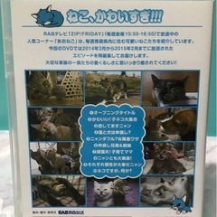 RAB放送　ZIP! あおねごDVD 1〜3巻の画像