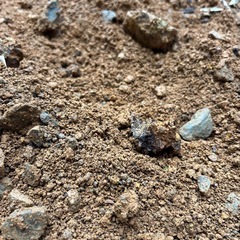 残土欲しい方の画像