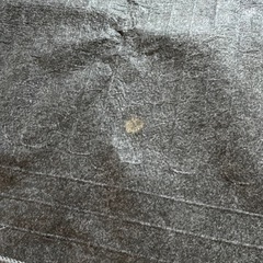 ホットカーペット　パナソニック　2畳の画像