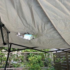 カインズ　シェード
の画像