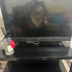 maxzen ハイビジョン液晶テレビ J32SK03の画像