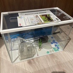 水槽、その他 関連購入品の画像