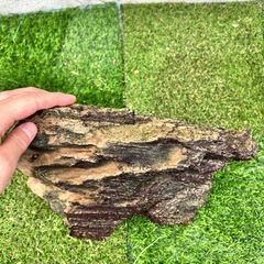 水槽用流木、巨大岩セットの画像