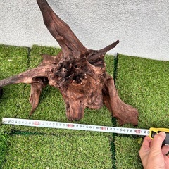 水槽用流木、巨大岩セットの画像