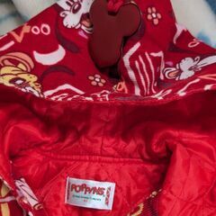 ディズニー　ポンチョの画像