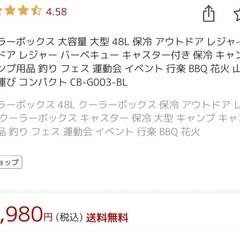 クーラーボックス　48リットルの画像