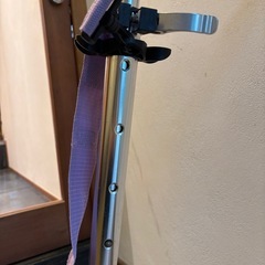 Avigo子供用キックスケーターの画像