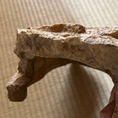 ロックシェルターの画像