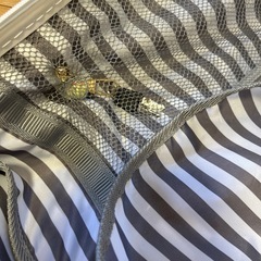 キャリーケースの画像