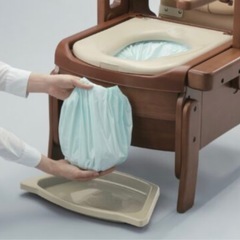 家具調トイレセレクトR 自動ラップノーマルタイプの画像