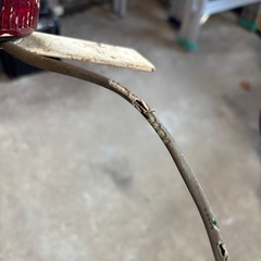 パトランプの画像