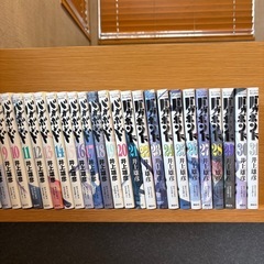 バガボンド31巻まで
の画像