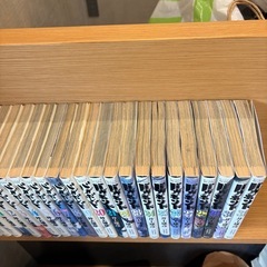 バガボンド31巻まで
の画像