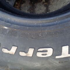 グッドリッチ　マットテレンの画像