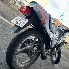 ウルフ50  の画像