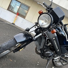 ウルフ50  の画像