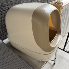 猫トイレの画像