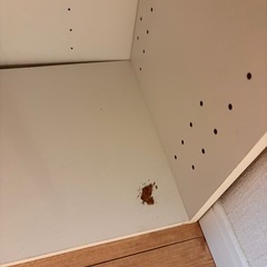 【無料！】ニトリのカラーボックスの画像