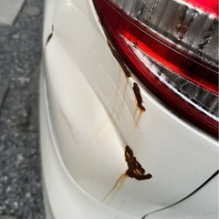 50エスティマの画像