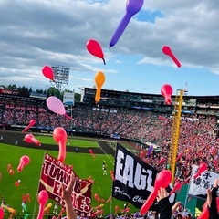 応援仲間募集📣❗️楽天イーグルス🦅