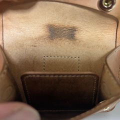 募集停止★ワイルドスワンズ／イーノ(ナチュラル)の画像