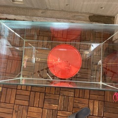 水槽　60センチの画像