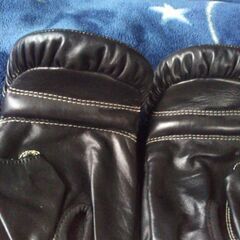 ボクシング ミット打ち用グローブの画像