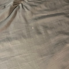 　無印良品　コイルマットレスの画像