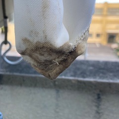 ガーデンパラソルの画像