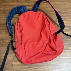 チャムス　リュックの画像