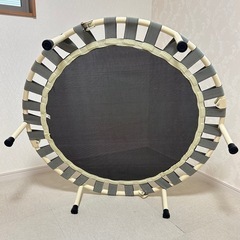 家庭用トランポリンの画像