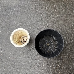 植木鉢（プラスチック）の画像