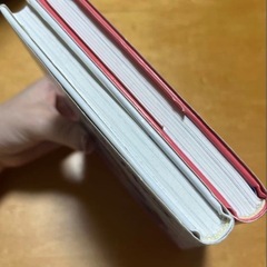 リトルプリンセス　氷の城のアナスタシア姫　人魚のマリッサ姫　2冊セットの画像