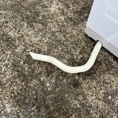 ★美品 動作良好★toshiba 東芝 全自動洗濯機 aw-7gm2 7.0kg★2022年製★ の画像