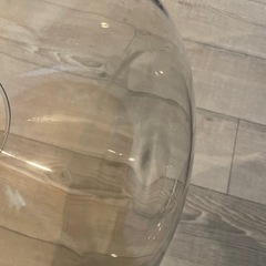 GEX グラスアクア ティアー 屋内観賞魚飼育用水槽 水容量約4L の画像