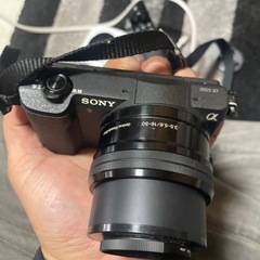 SONYα5100の画像