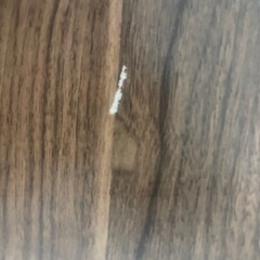 ローテーブルの画像