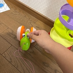 カタツムリおさお散歩の画像