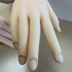 ネイル　トレーニングハンドの画像