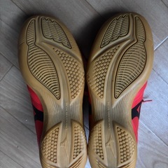 フットサルシューズ　ミズノ　モナルシーダ23.5の画像