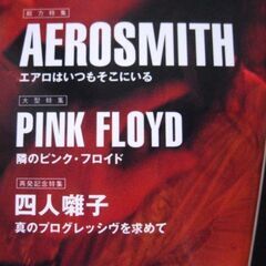 音楽雑誌　THE DIG ディグ　2002年No27 　エアロスミス PINK FLOYD 四人囃子の画像