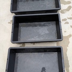 メダカの飼育桶の画像