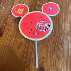 ディズニーうちわとチケットホルダーの画像