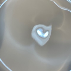 A7148【ランセル】ボウル プレート セットの画像