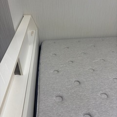 セミダブルベットの画像