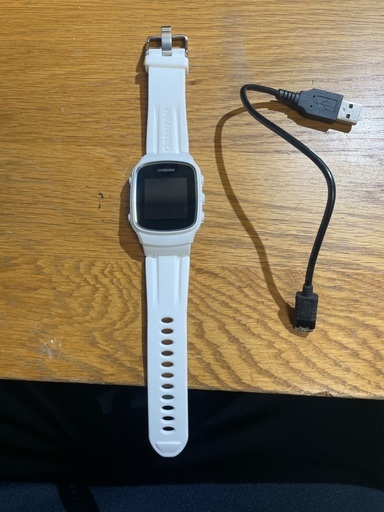 ゴルフウォッチ NORM IIs ショップ THE GOLF WATCH NORM IIS THE GOLF