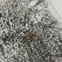 【無料】Francfrancラグの画像