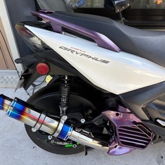 シグナス　グリファス
の画像