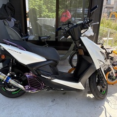 シグナス　グリファス
の画像